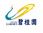 丰顺碧桂园地产